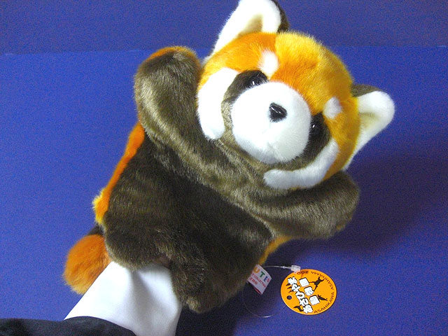 朝早く起きるレッサーパンダ アーティストベア 海外作家様 ハンドメイド 置物 旭山ハンドパペット大 レッサーパンダ [トミヤ郷土民芸]