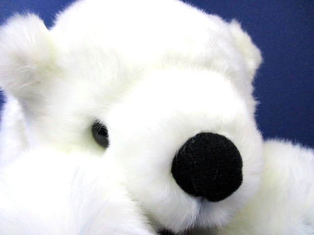 希少！あさひやま動物園 ホッキョクグマ ぬいぐるみ特大サイズ 希少！あさひやま動物園 ホッキョクグマ ぬいぐるみ特大サイズ Amazon